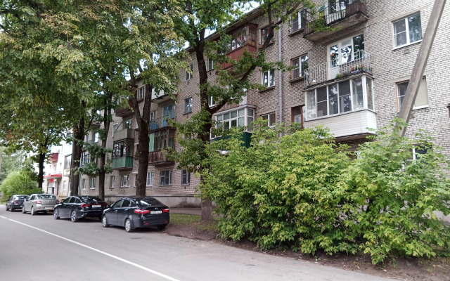 V Tsentre U Reki Pskovy Flat