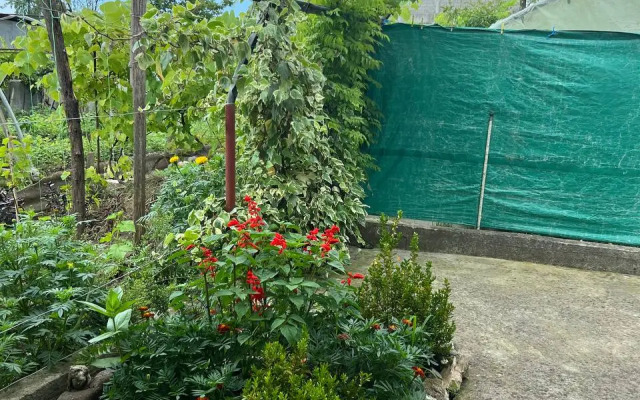 Uyut Guest house