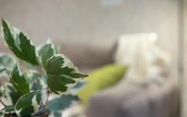 Апартаменты Стильная 2кк Квартира с Парком