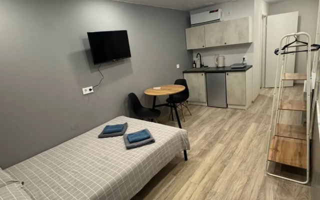 RentalSPb na Borovoy Apartments