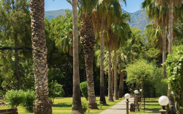 Отель Mountain View