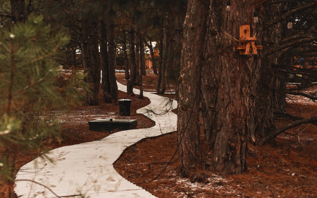 Siniy Yar Glamping
