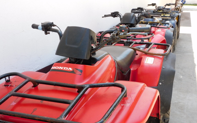 Отель Casa de Huespedes Nayomi By Rotamundos