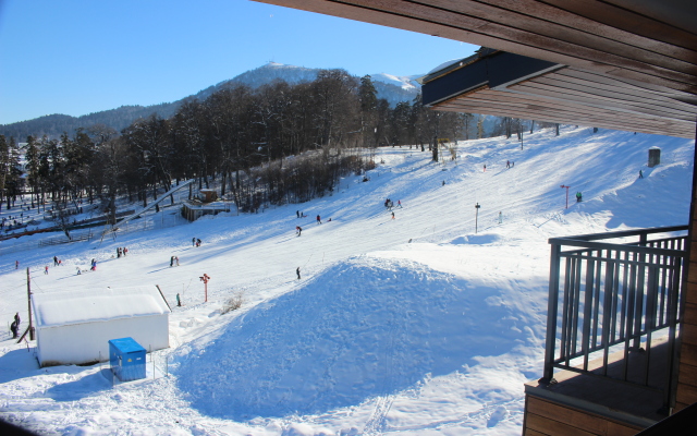 Area N39 Bakuriani Apart-Hotel