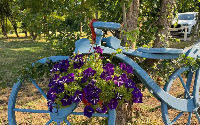 Гостевой дом Играем на высоте