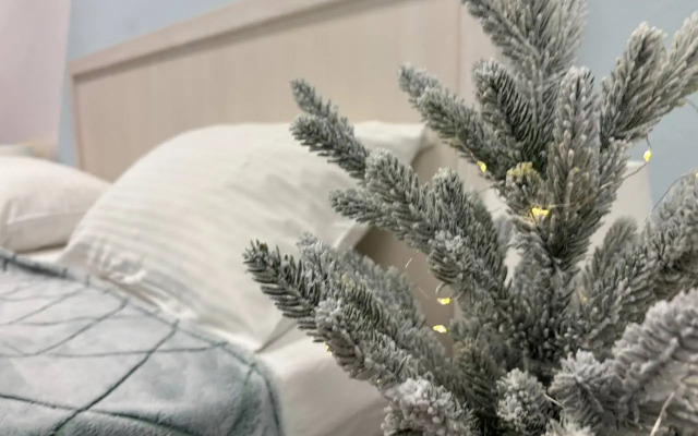 Квартира Студия с Мангальной Зоной на Улице