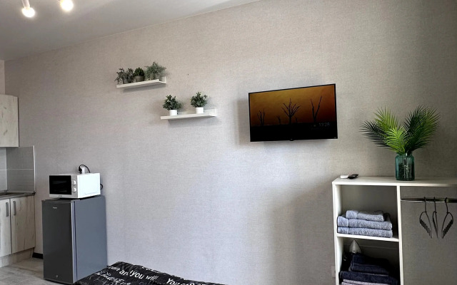 Квартира Белая Студия