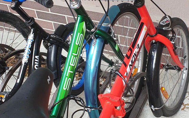 Svet Siriusa Apartments