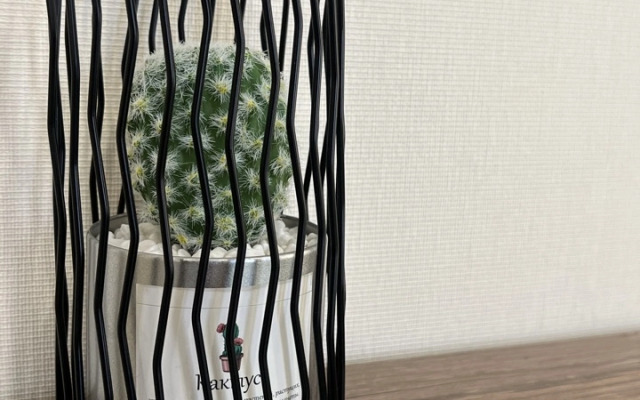 Апартаменты 5 красно-зеленые