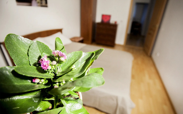 Квартира Уютное волшебство. 2К на Сухаревской