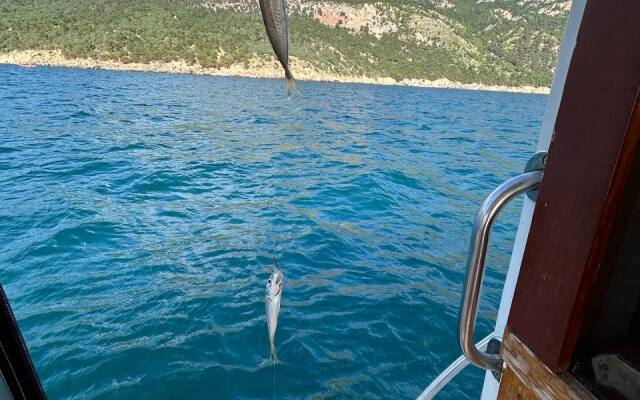 Апартаменты 2 на мысе Фиолент