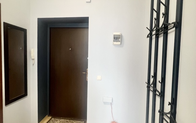 Yuzhny Vokzal Apartments