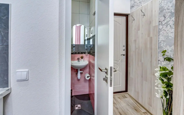 Апартаменты 5 Уютные на Пионерской Улице Петроградской Стороны (ЧК5)