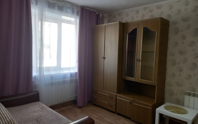 Odnokomnatnaya v centre Flat