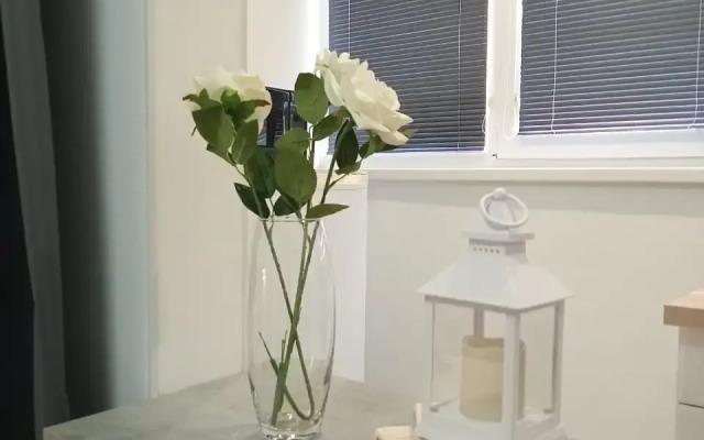 Апартаменты Яркая Студия