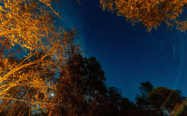 Частный Дом Барнхаус №1 с дровяной баней и горячей купелью, на 7 госте