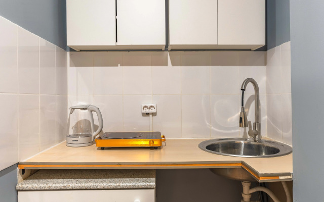 Апартаменты Plaum Hotel Студия 9 на Коломенской