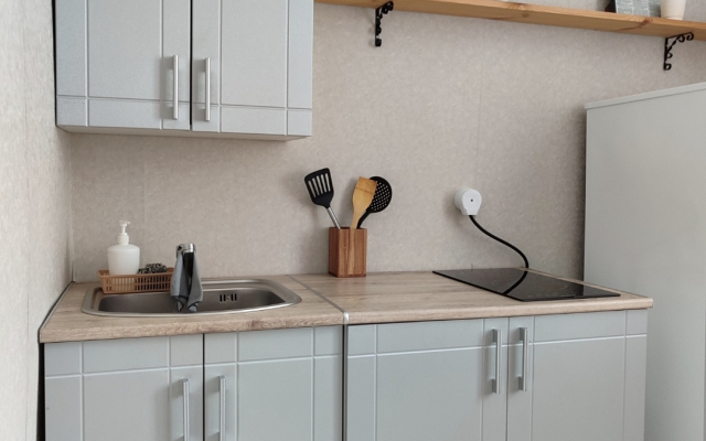 Квартира с двумя спальными местами в центре