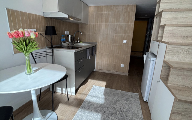 Апартаменты в центре Казани, Карла Маркса 11 А