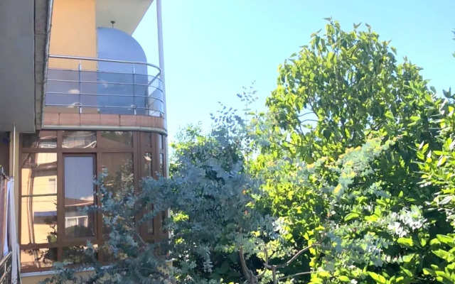 Delfinchik Guest house