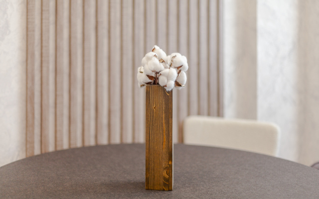 Апартаменты Масленикова 14а