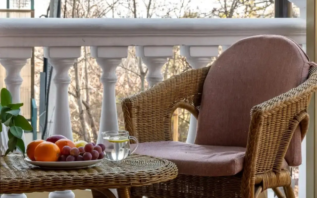 Gostevoy Dom Stadion