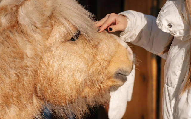 База отдыха Парк-отель Канжуль