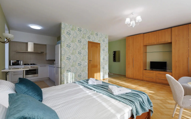 Uyutnaya Studiya V Tsentre Goroda Flat