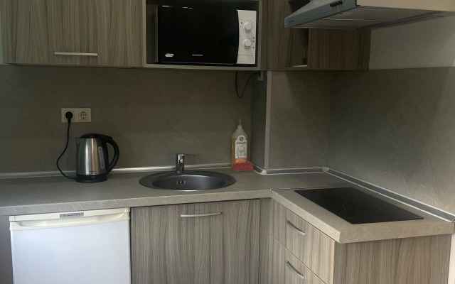 Na Deputatskoy Apartment