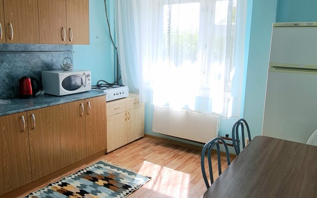 Квартира Менделеева