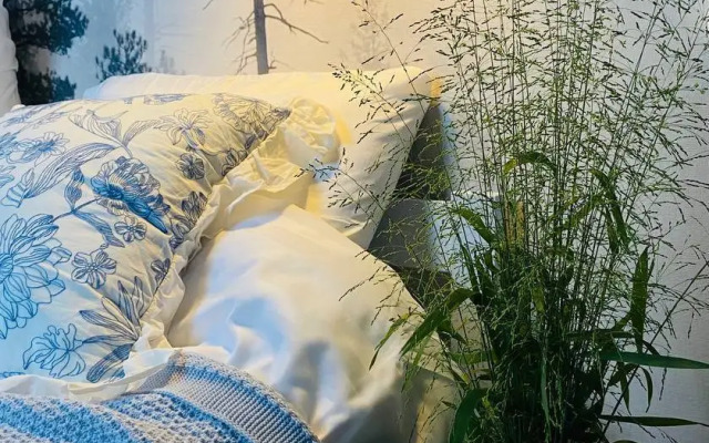 Dom S Kovrom Private house