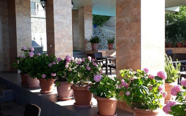 Chayka Guest house
