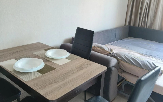 Квартира Студия Многоместная