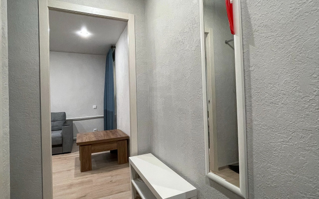 Квартира Большая однушка на Ленина 11А