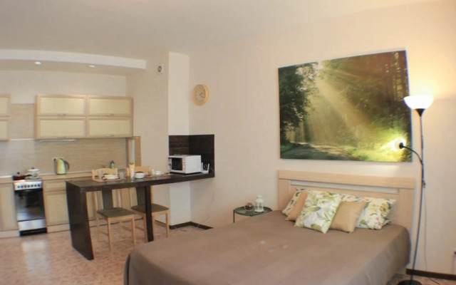 Квартира Уютная Студия на Лермонтова 81