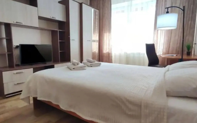 V Tsentre Svetlaya Uyutnaya Ryadom S Parkom Flat