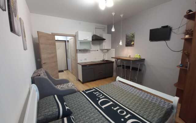 Cozy apartment on Prazhskaya