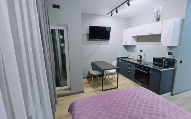 Квартира на Ул Елькина 91