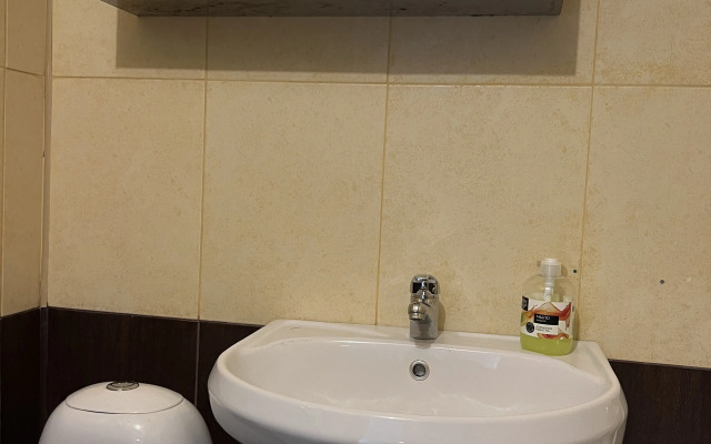 Квартира на Профессиональной 22