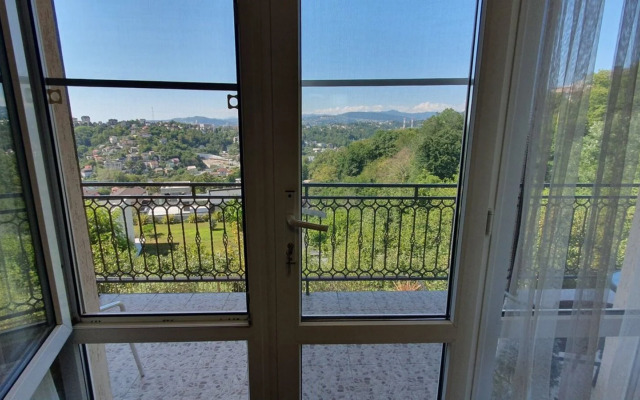 V Sochi Dacha Guest house
