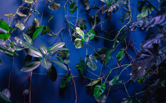 Отель Communal Hotel Sololaki