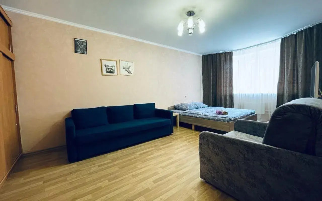 Квартира на Профессиональной