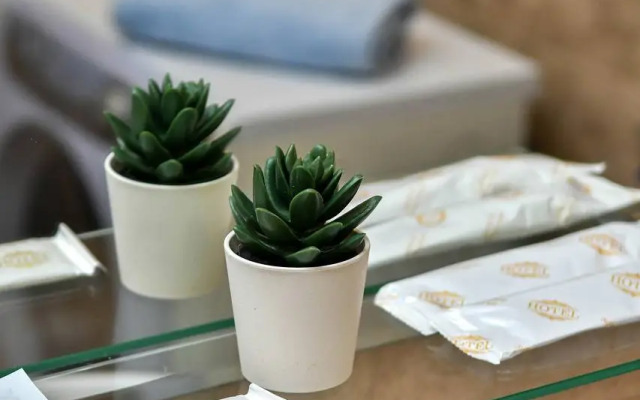 Квартира уютная возле Планеты