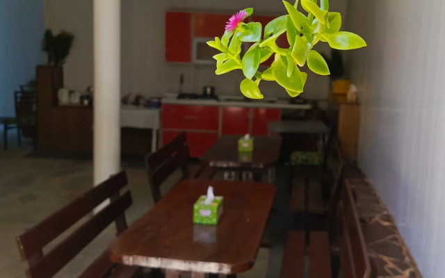Pod Palmoy Guest House