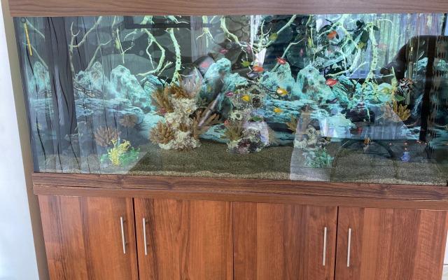 Отель Паллада