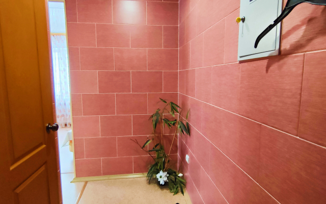 Odnokomnatnaya Kvartira Na Karla Marksa Apartaments