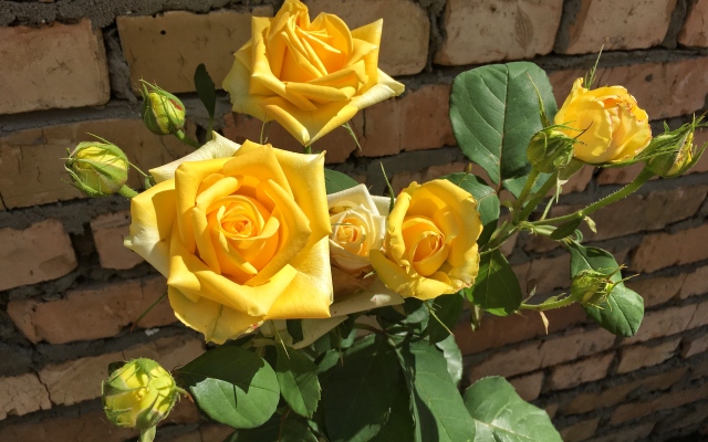 Гостевой Дом Марьяна