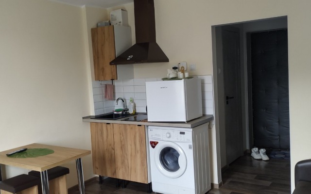 Vozle o. Kanta tsentr Kaliningrada Flat