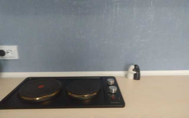 V Tsentre U Reki Apartments