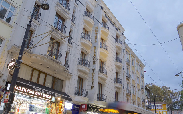 Black Tulip Hotel